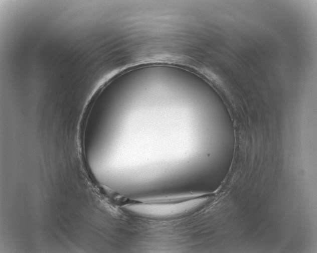 X0000064751230200602241823