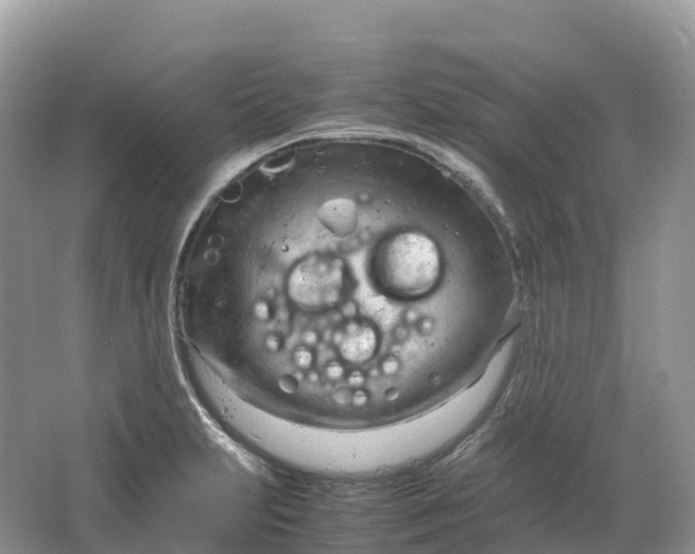 X0000064751231200602241823