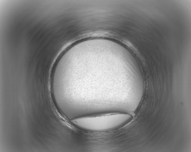 X0000064751232200602241823