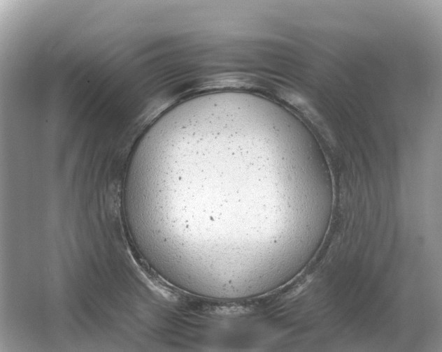 X0000064751233200602241823