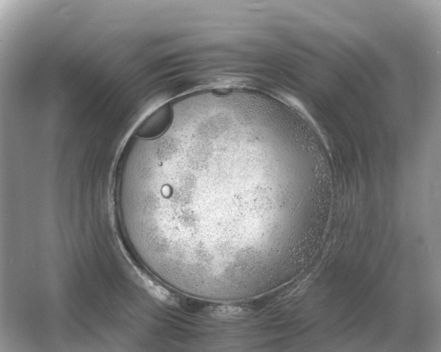 X0000064751235200602241823