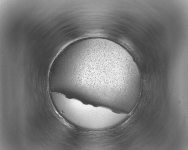 X0000064751236200602241823