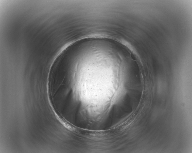 X0000064751237200602241823