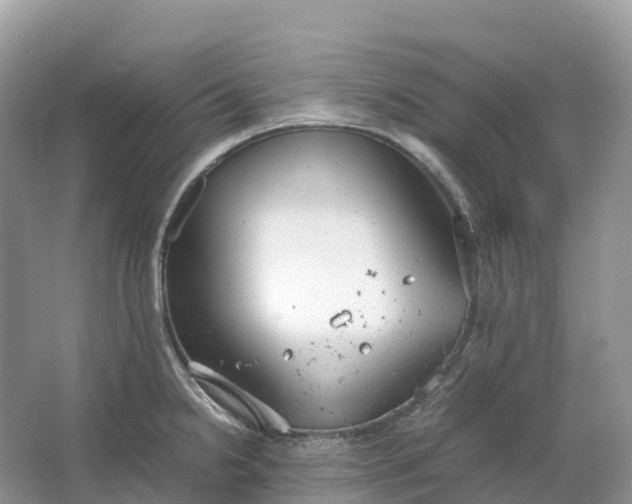 X0000064751238200602241823