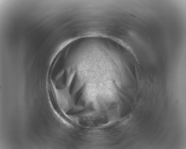 X0000064751239200602241823