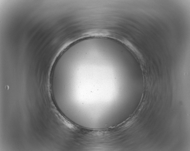 X0000064751240200602241823