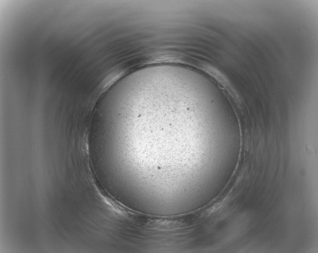 X0000064751241200602241823