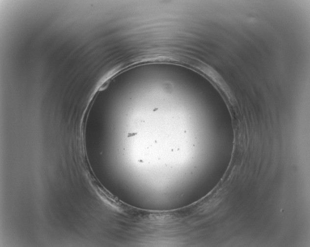 X0000064751242200602241823