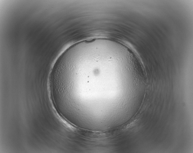 X0000064751243200602241823