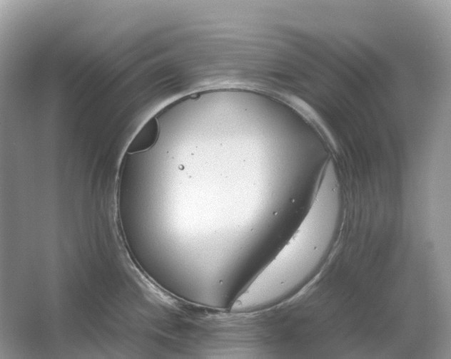 X0000064751244200602241824