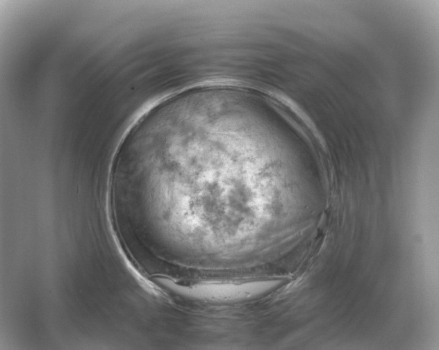 X0000064751245200602241824