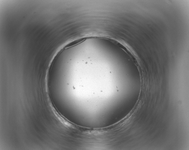 X0000064751246200602241824