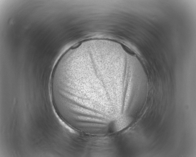 X0000064751247200602241824