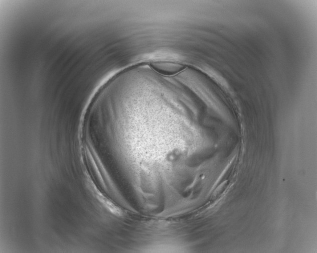 X0000064751248200602241824