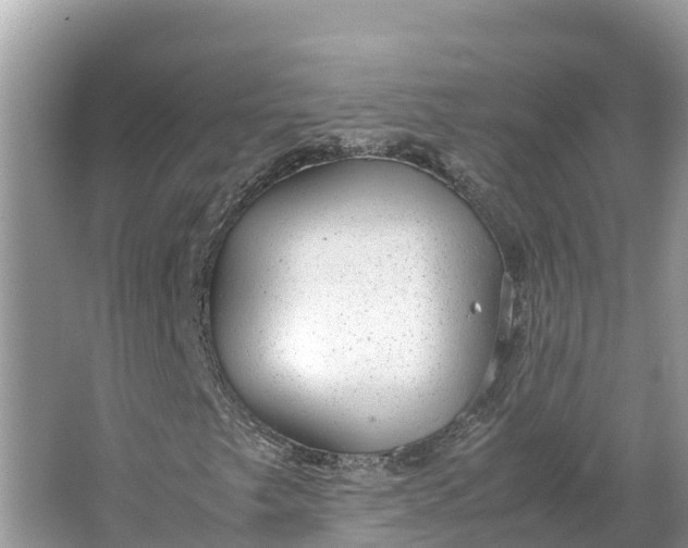 X0000064751249200602241822