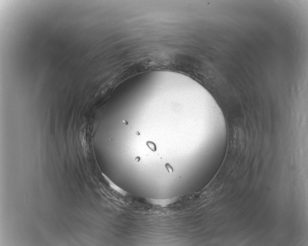 X0000064751250200602241822