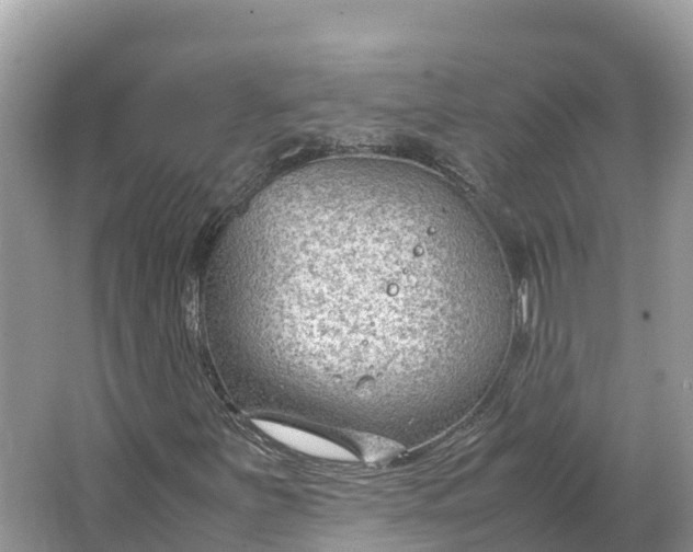 X0000064751251200602241822