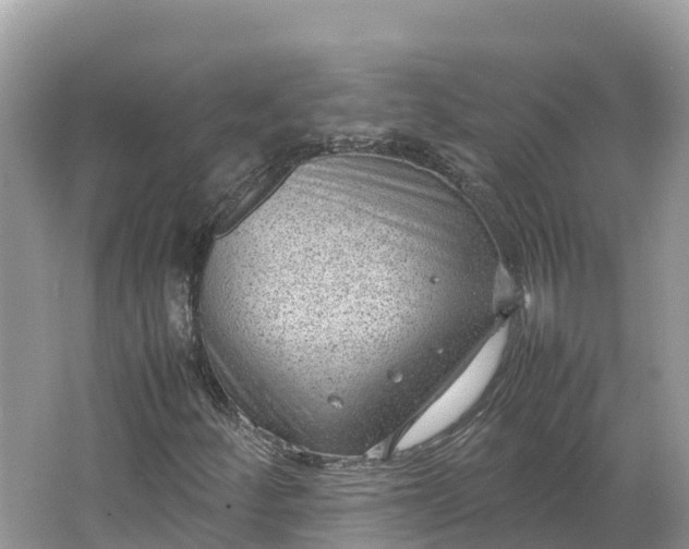 X0000064751252200602241822