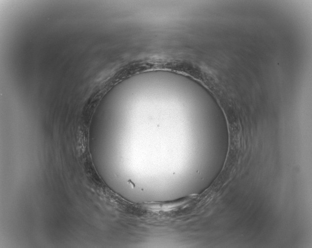 X0000064751253200602241822