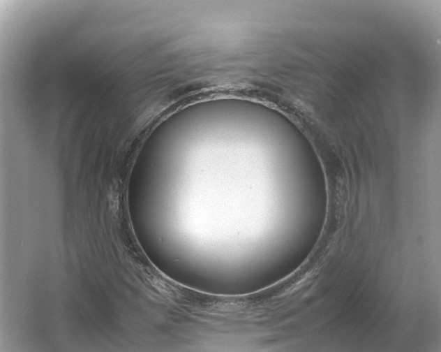 X0000064751257200602241822