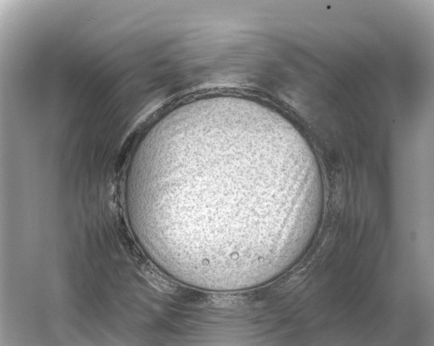 X0000064751258200602241822