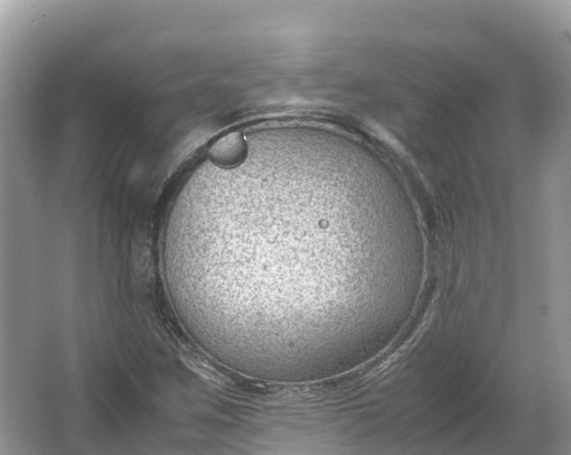 X0000064751259200602241822