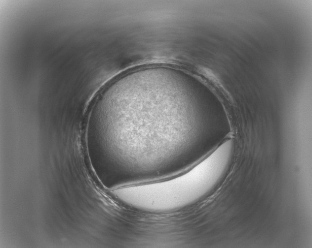 X0000064751260200602241822