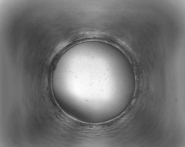 X0000064751261200602241822