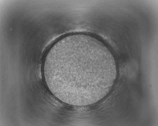 X0000064751262200602241822