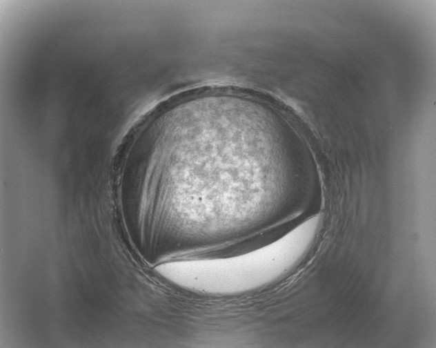 X0000064751263200602241822