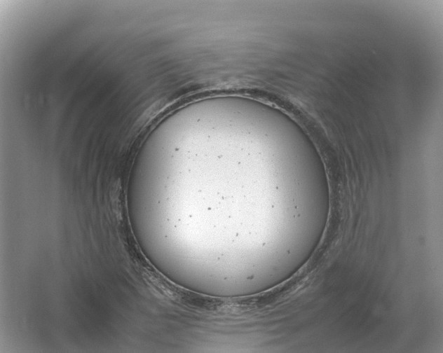 X0000064751265200602241822