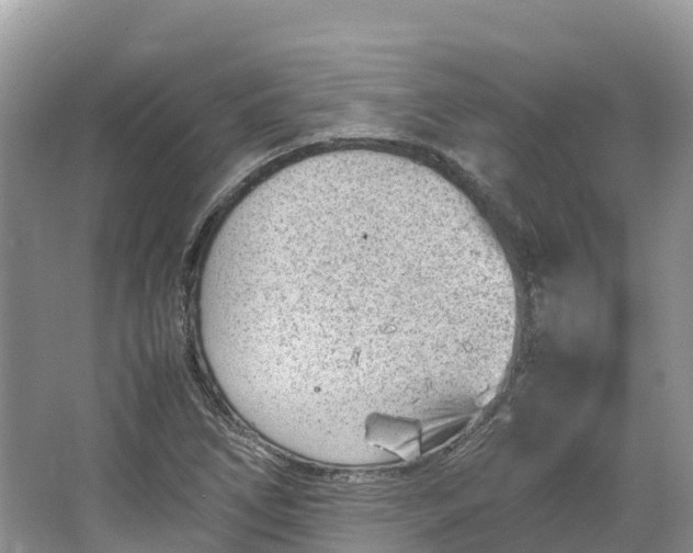 X0000064751266200602241822