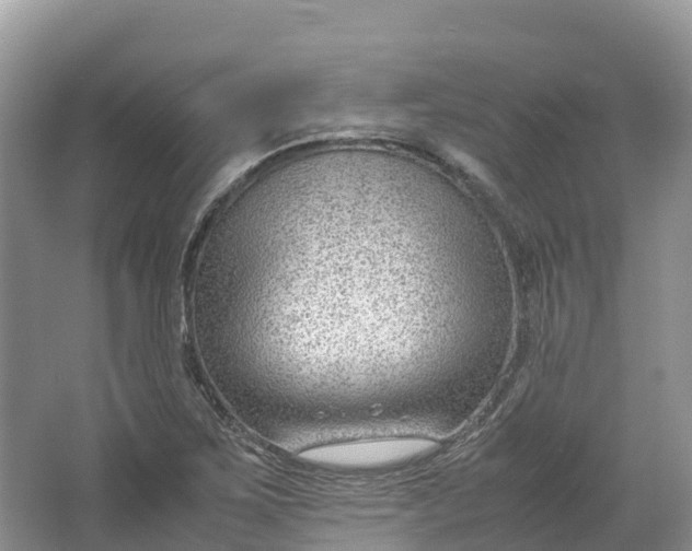 X0000064751267200602241822