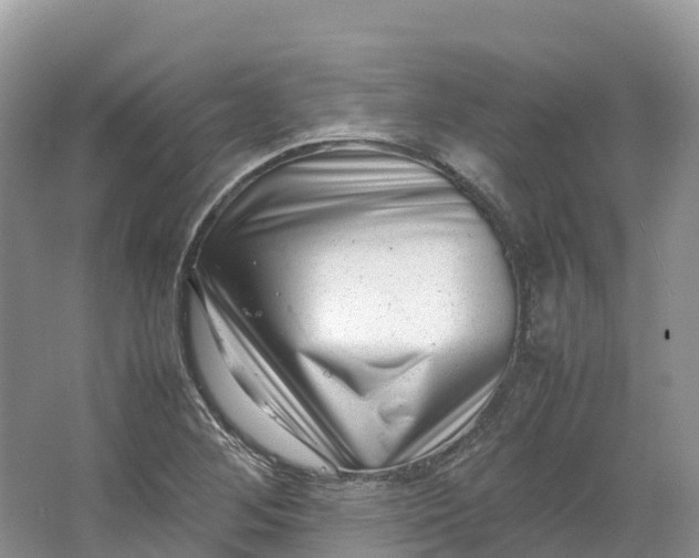 X0000064751268200602241822