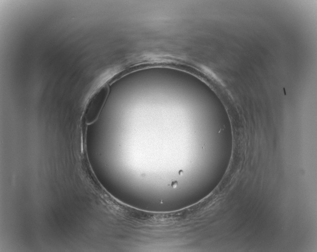 X0000064751269200602241822