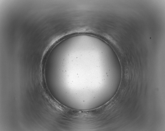 X0000064751270200602241822