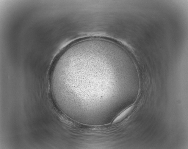 X0000064751271200602241822