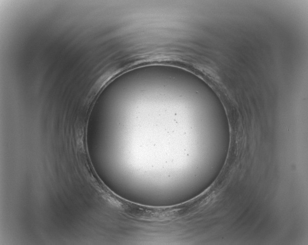 X0000064751273200602241822