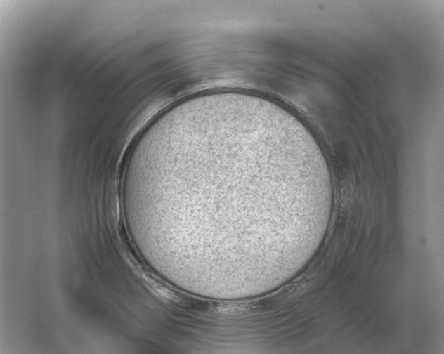 X0000064751274200602241822