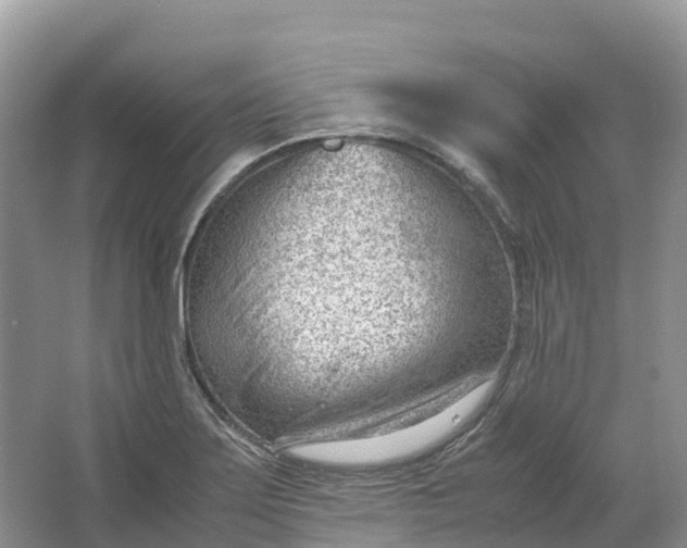 X0000064751275200602241822