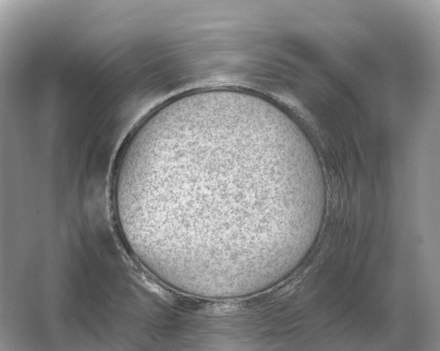 X0000064751278200602241822