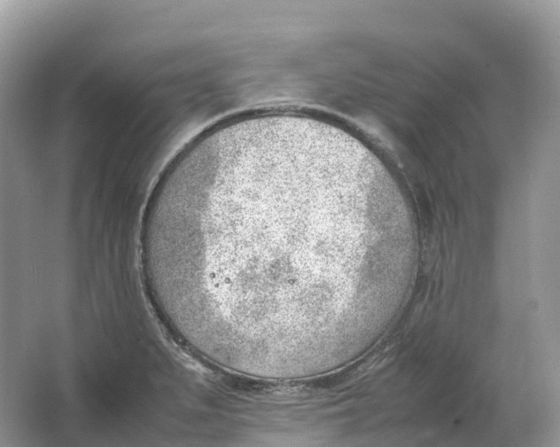 X0000064751279200602241822