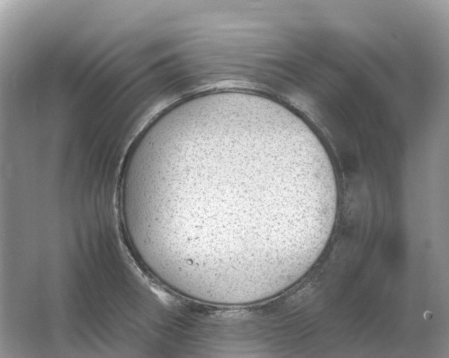 X0000064751282200602241822