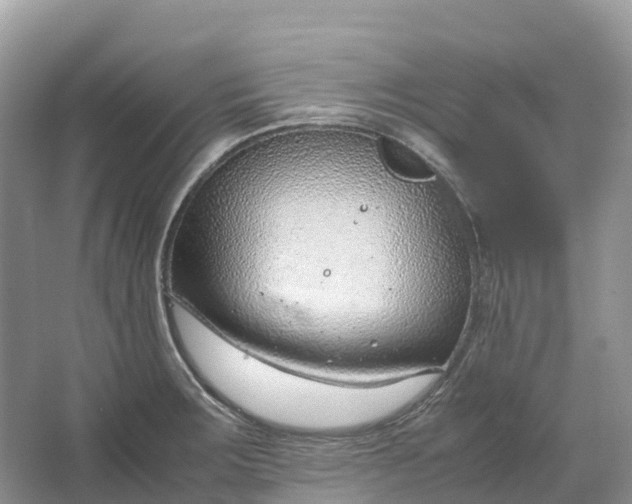 X0000064751283200602241822