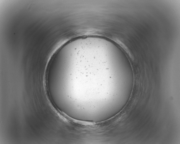 X0000064751285200602241821