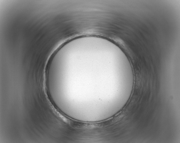 X0000064751286200602241821