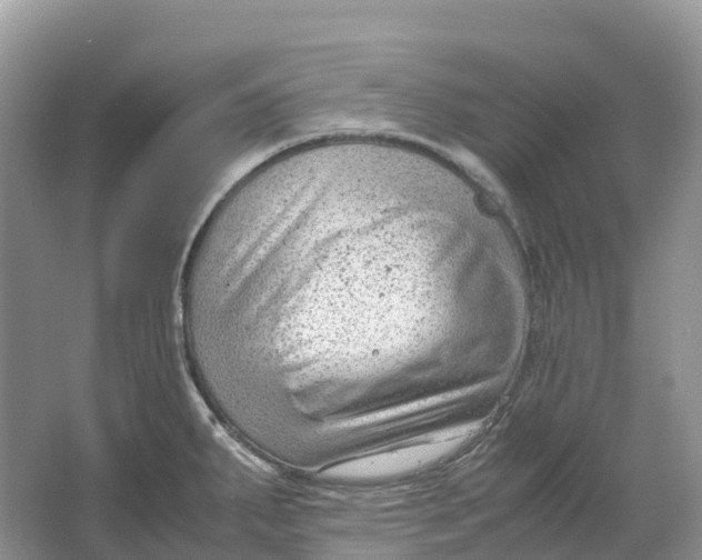 X0000064751287200602241821