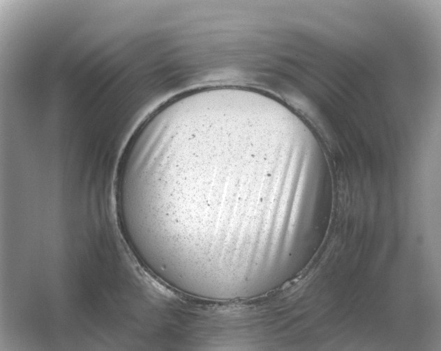 X0000064751288200602241821