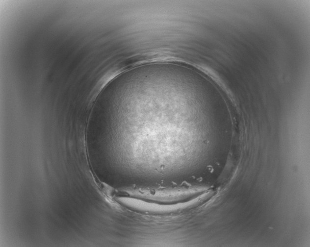 X0000064751289200602241821