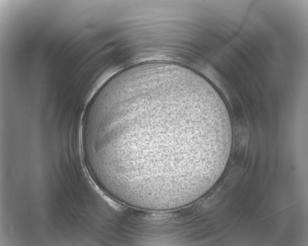 X0000064751290200602241821